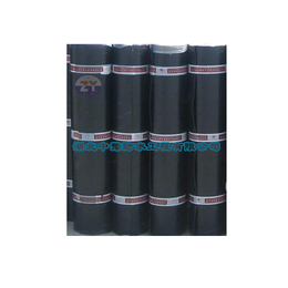 app塑性體改性瀝青防水卷材公司-湖北中豫防水工程