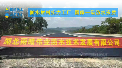 PBL改性瀝青高聚物防水涂料 梁子湖PB-1改進型橋面防水涂料底價供貨