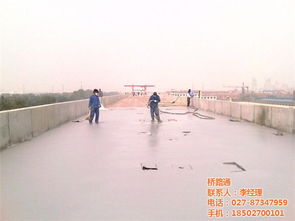 專業(yè)防水解決方案 從橋面拋丸到卷材銷售的一站式服務